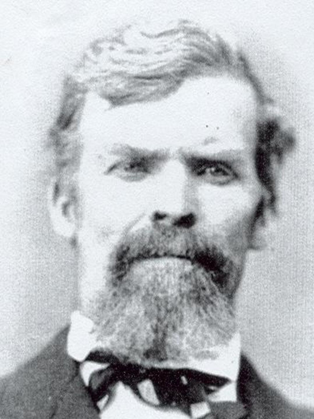 David Hilton (1831 - 1904) Profile
